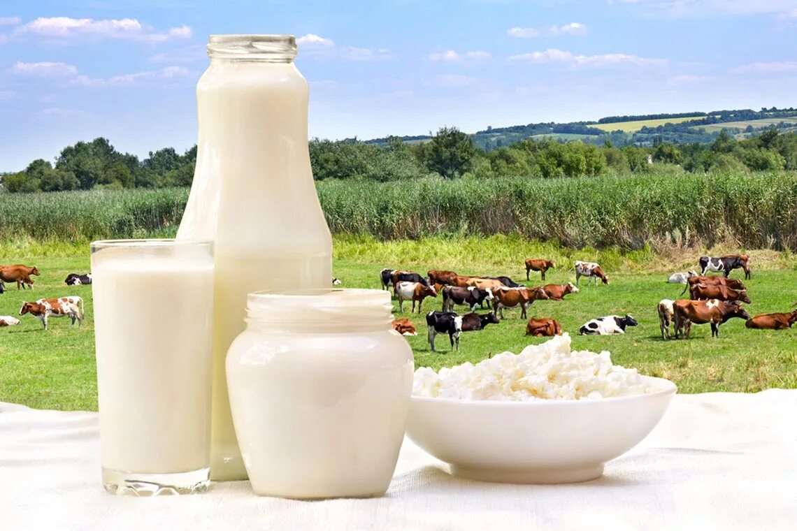 Фото домашнего молока. Молочная продукция. Фермерские молочные продукты. Натуральные молочные продукты. Фермерская молочная продукция.