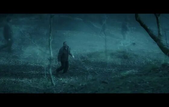 невидимого стража 2017