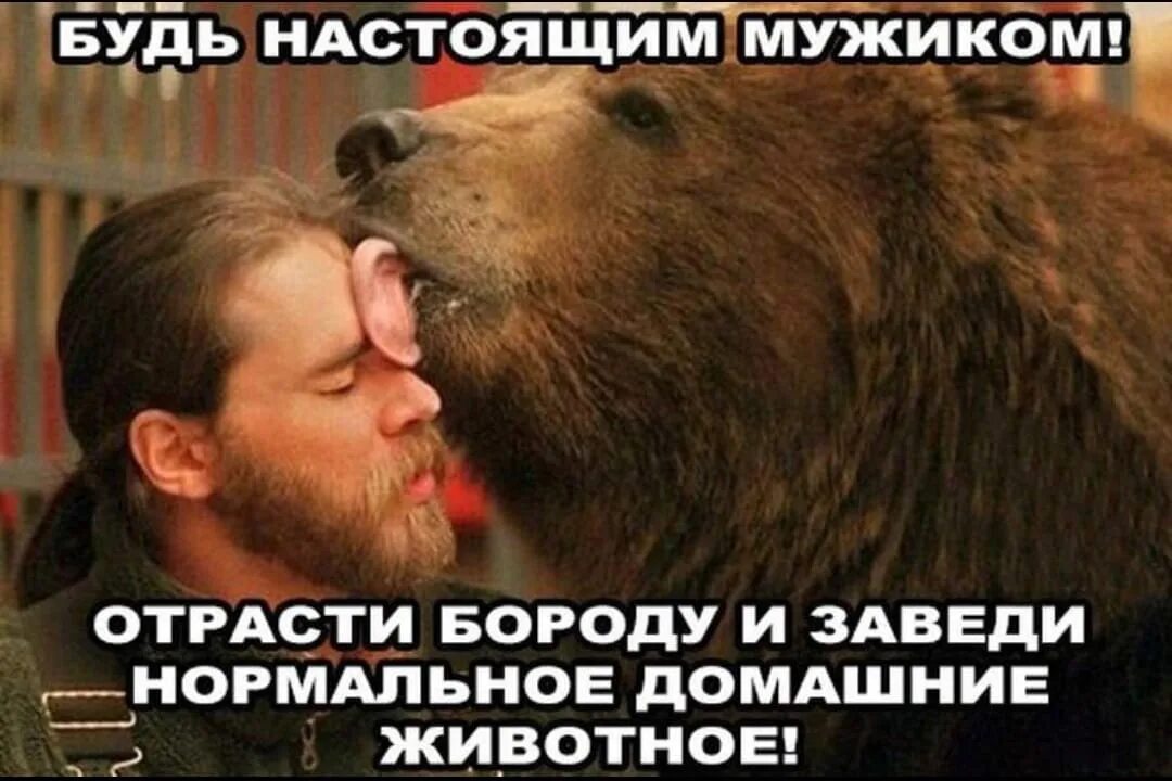Заведи нормального