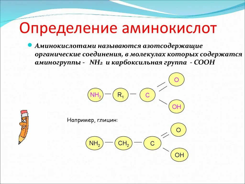 Аминокислоты определение. Соединения аминокислот и их названия. Аминокислоты называются определение. Молекулярная формула аминокислот. Сколько всего аминокислот