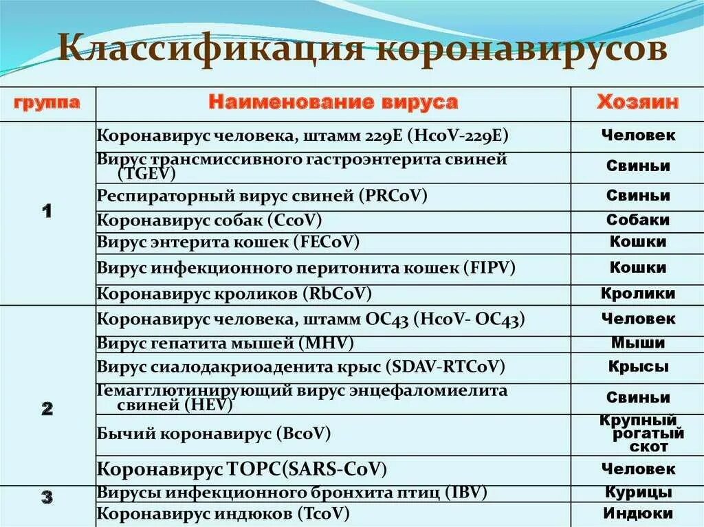 Классификация коронавирусной инфекции. Разновидности коронавиру. Разновидности коронавируса. Коронавирус классификация. Коронавирус является