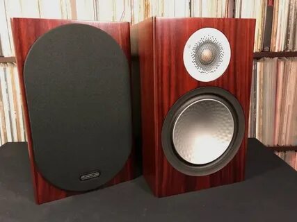 Monitor silver 100