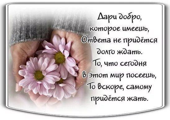 Дарить добро просто. Дари добро. дарите добро. дари людям добро. дарите добро цитаты.