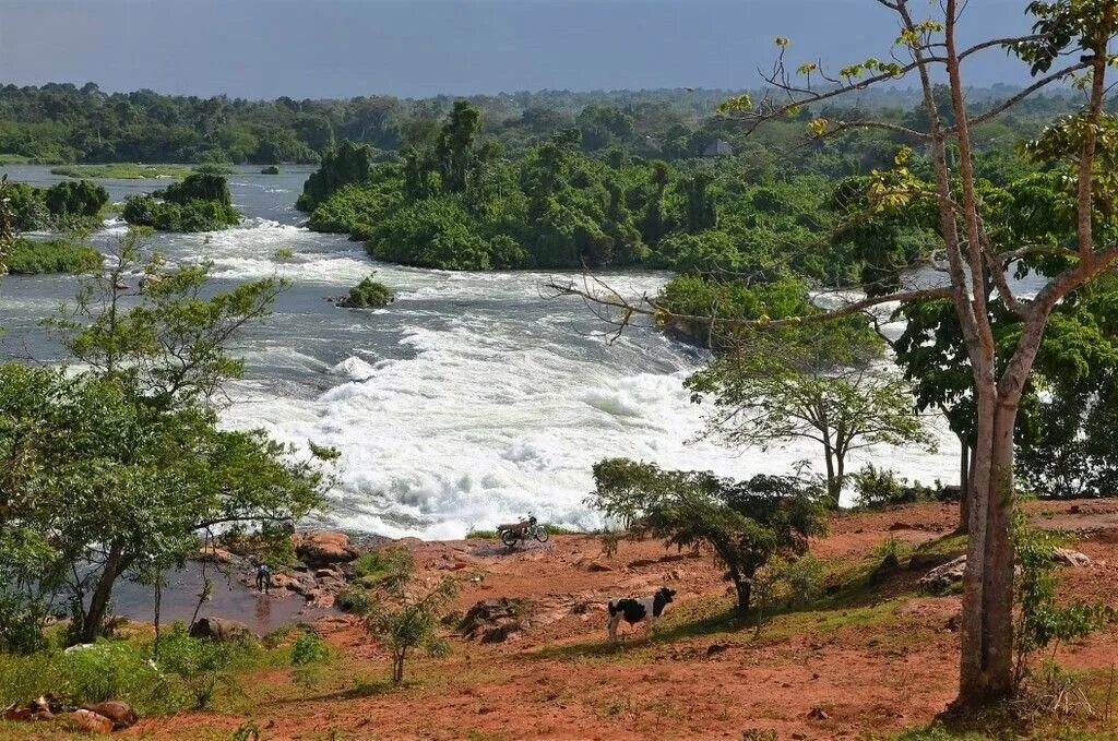 Africa river