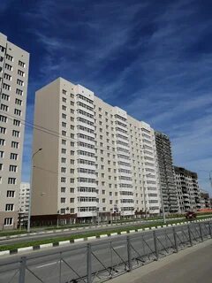 Аралия южно сахалинск