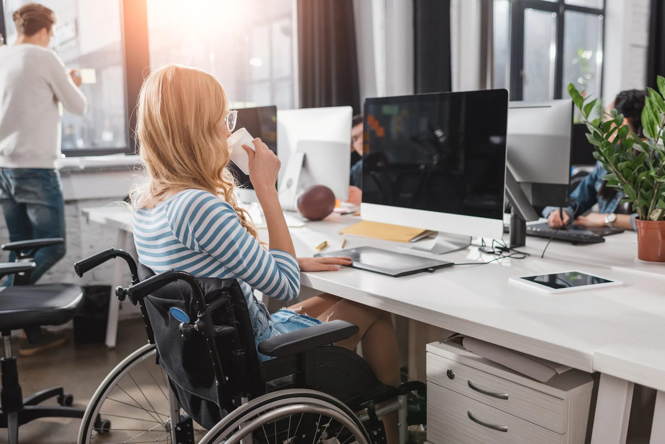 Networking disabled
