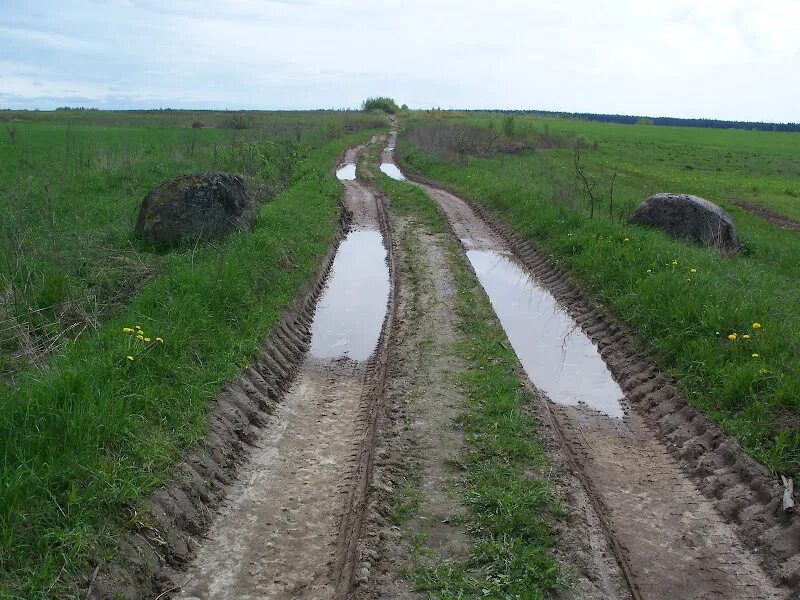 беларусь,озеро домашковичи. озеро домашковское. река сервечь. лесная река ивница. озеро сервач.