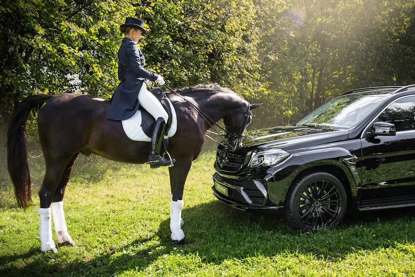 184 лошадиных сил. 184 лошадиных сил. 184 лошадиных сил. Форд мустанг жеребец. Машина с лошадью.