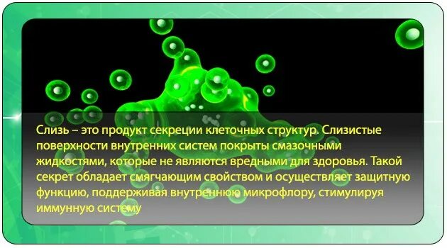 Выведение слизи из организма. Как убрать слизь из организма. Продукты выводящие слизь.