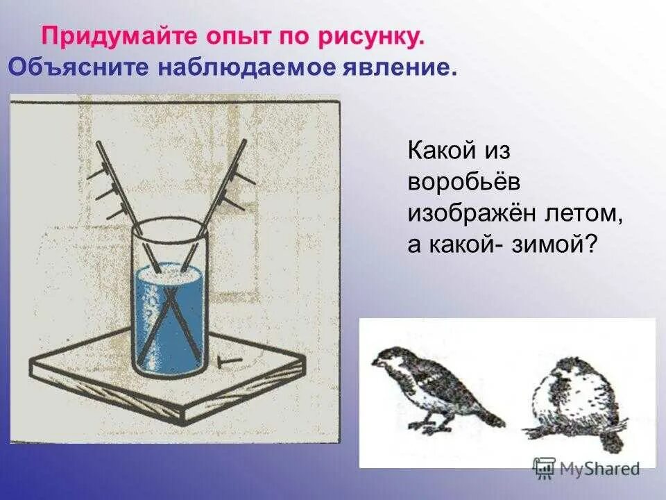 Темнее опыт. Опыты теплопередачи. Опыты по теплопроводности. Виды теплопередачи. Физика теплообмен опыты.