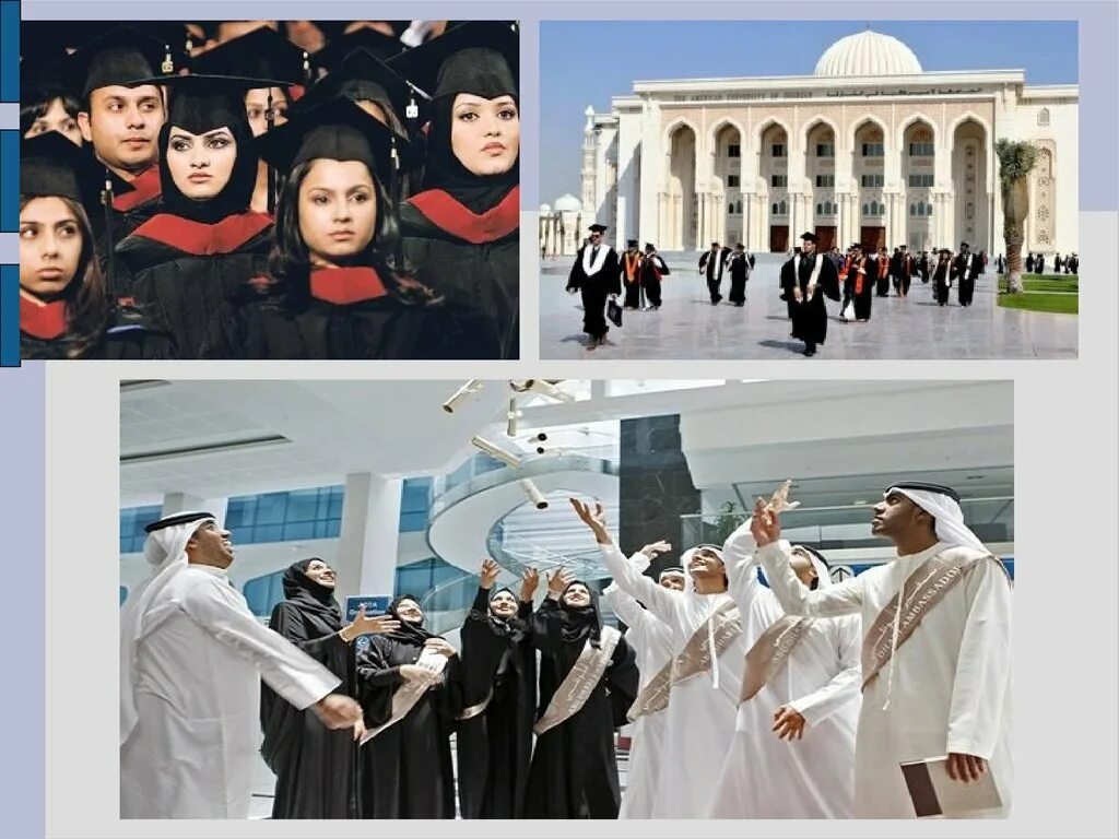 Араб школа. Школы в ОАЭ. Средняя школа в ОАЭ. Школы в арабских Эмиратах. Институт в арабских Эмиратах.