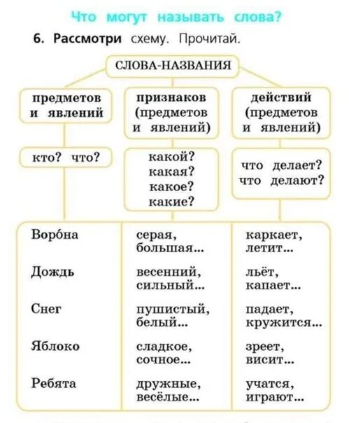 Схема слова названия 1 класс. Схема что могут называть слова 1 класс. Русский язык 1 класс предмет признак действие. Таблица слова названия предметов признаков.