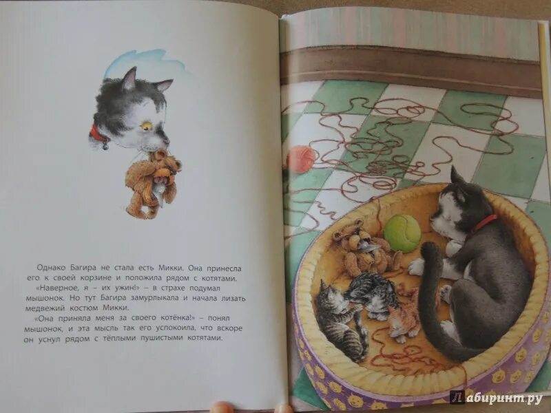 Читать книгу кошки мышки. Ханс де беер кошки мышки. книга кошки-мышки берни бос. произведения собранные в книге кошки мышки. мышка нюра которая ела книжных кошек.