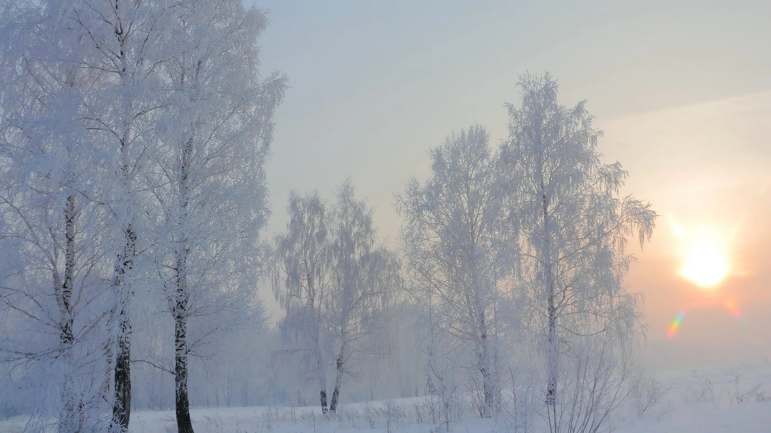Чашка кофе на снегу. Утро зима. Красивая зима. Зимний день в городе. Снегопад утром.