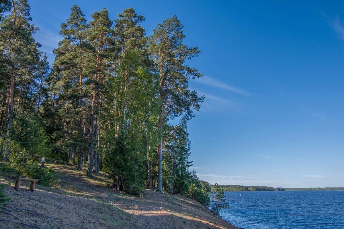 буковые леса архыз. сосновый бор санаторий мордовия. лисицкий бор. экопарк каялов бор россошь. сосновый бор турбаза москва.