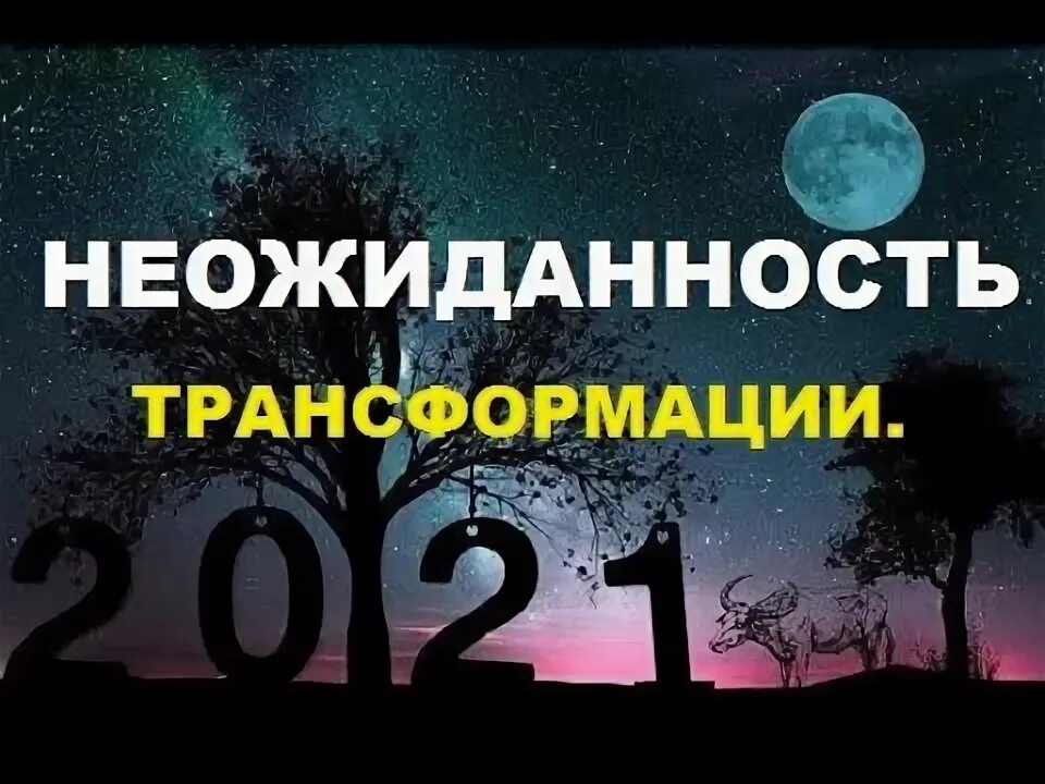 5 лет трансформации. 5 лет трансформации