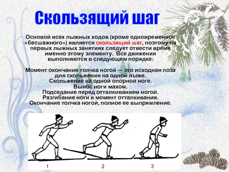 Основой всех лыжных ходов кроме бесшажного является. Скользящий шаг на лыжах. техника скользящего шага. техника лыжных ходов скользящий шаг. скользящий шаг без палок техника.