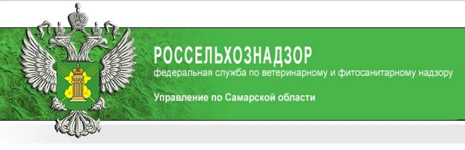 Сайт россельхознадзора ростовской области