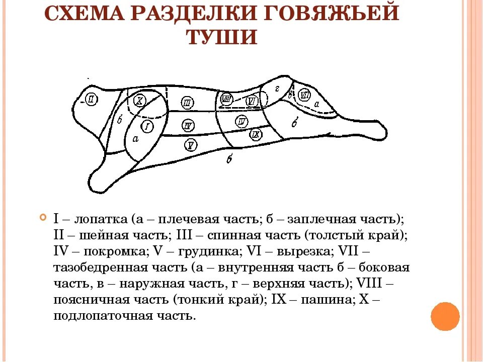 Разруб туши свиньи. Схема кулинарного разруба говяжьей туши. Схема кулинарной разделки туши говядины. Разделать тушу. Схема разруба туши говядины.