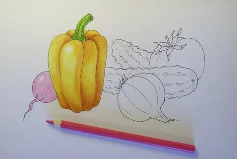 Рисование овощей 1 класс