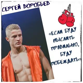 Воробей боксер