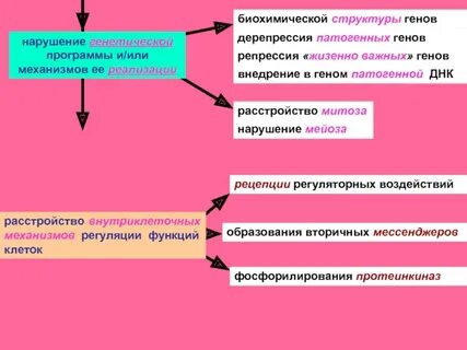 Внедрен ген предложение 1 2 обезвреживать