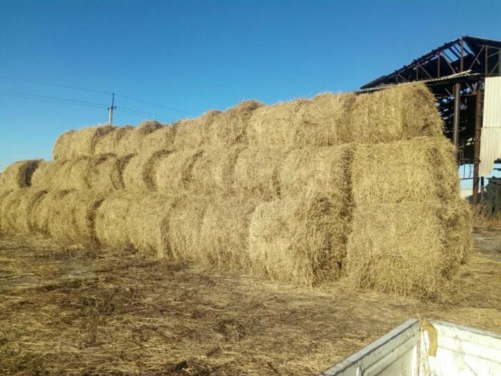 Солома в мешках. Сено солома в мешках. Акустические панели сено солома. Кормушки для сена соломы.