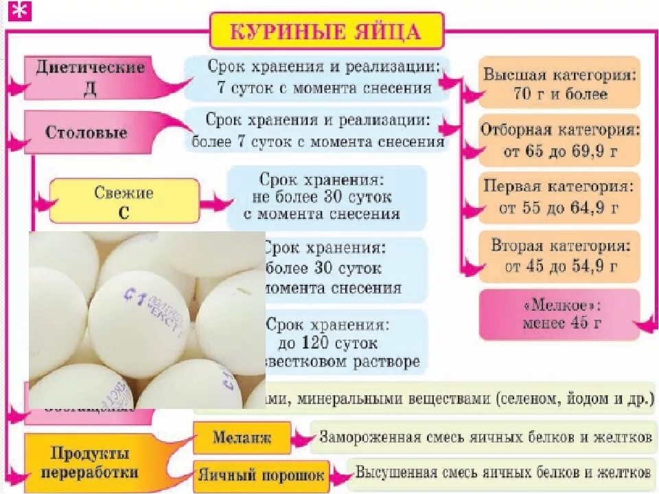 Сколько хранятся куриные яйца без холодильника. Срок годности варёных яиц при комнатной температуре. Срок хранения домашних яиц. Срок годности яиц куриных сырых. Срок годности вареных яиц.