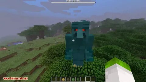 Npc 1.16 5
