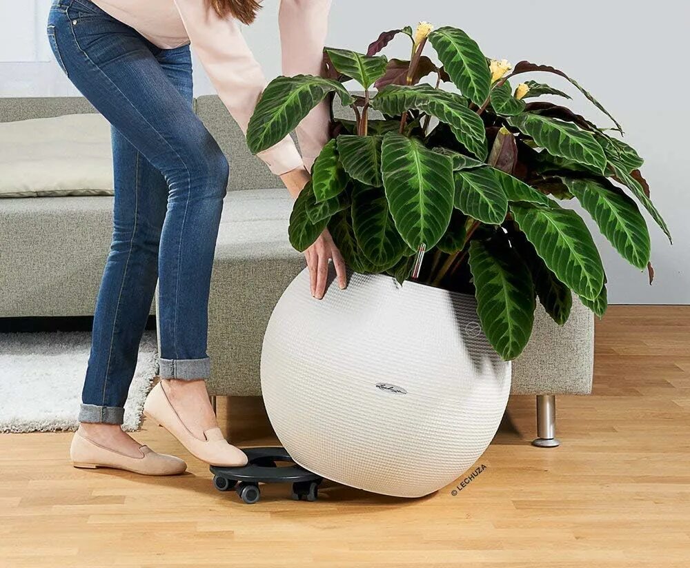 Горшок детский "собачка". Горшок на колесиках. Кашпо тюльпан-5 30,0л. Горшок на колесиках. Икеа горшок с самополивом на колесиках.