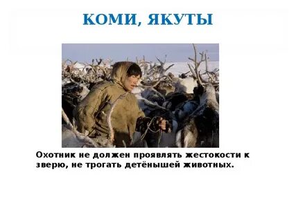 Однкнр бережное отношение к природе 5 класс