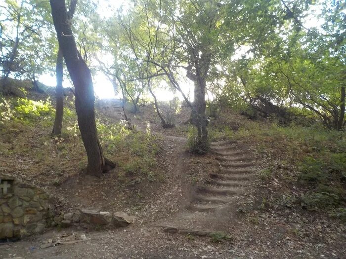 Горная поляна сайт. Горная Поляна Волгоград. Родник на горной Поляне Волгоград. Поселок Горная Поляна Волгоград. Горная балка.