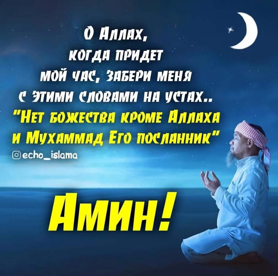 Аминь или амин в исламе. Аминь или амин у мусульман. Амин мусульмане. Аминь или амин в исламе. Амин или аминь в исламе.