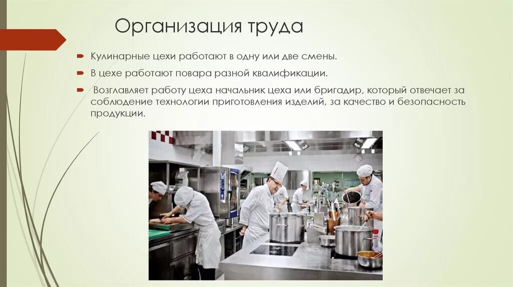 Организация труда. Организация труда работников. Организация труда в цехе. Организация работы кулинарного цеха. Значение цехов