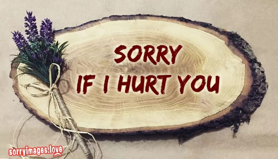 Sorry made. Sorry картинка. табличка sorry. i&#039;m sorry if i hurt you. надпись sorry.