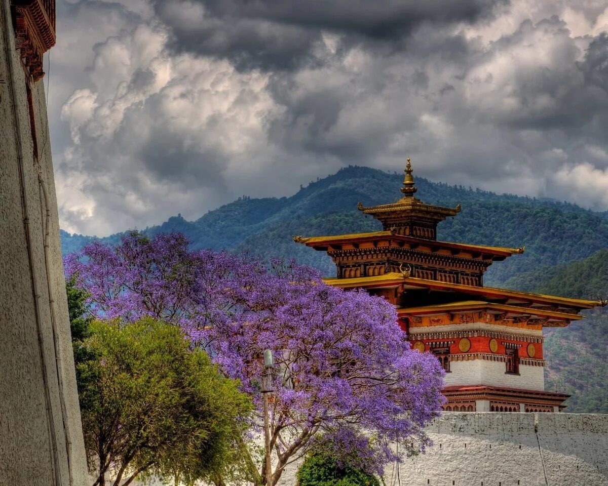 Бутан азия. Королевство бутан, Тхимпху. Королевство бутан достопримечательности. Бутан Гималаи. Храм королевства бутан.