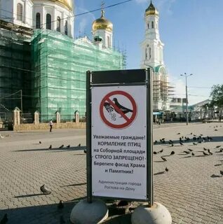Кормить запрещено