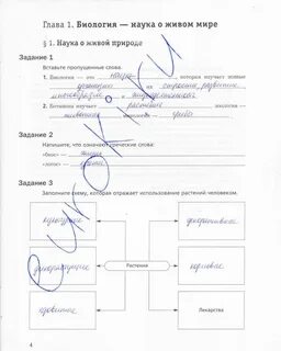 Что такое схема в биологии 5 класс