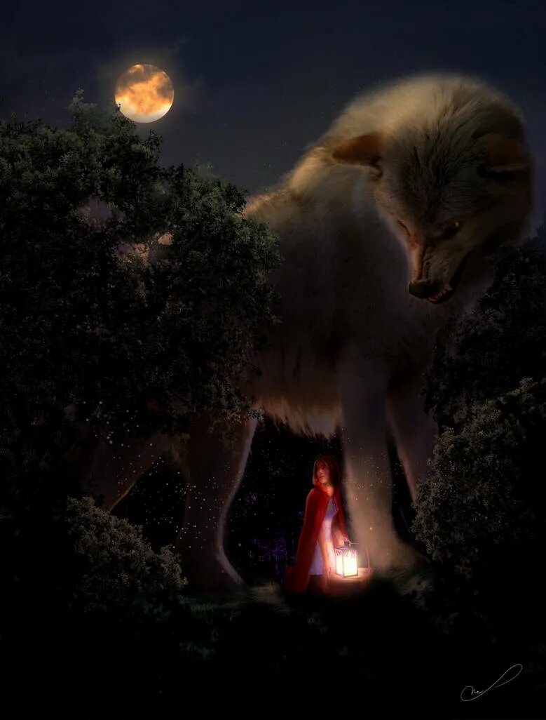 Волк выходит ночью. Волк в ночи. Волк и Луна. Волк в ночном лесу. Животные ночью.
