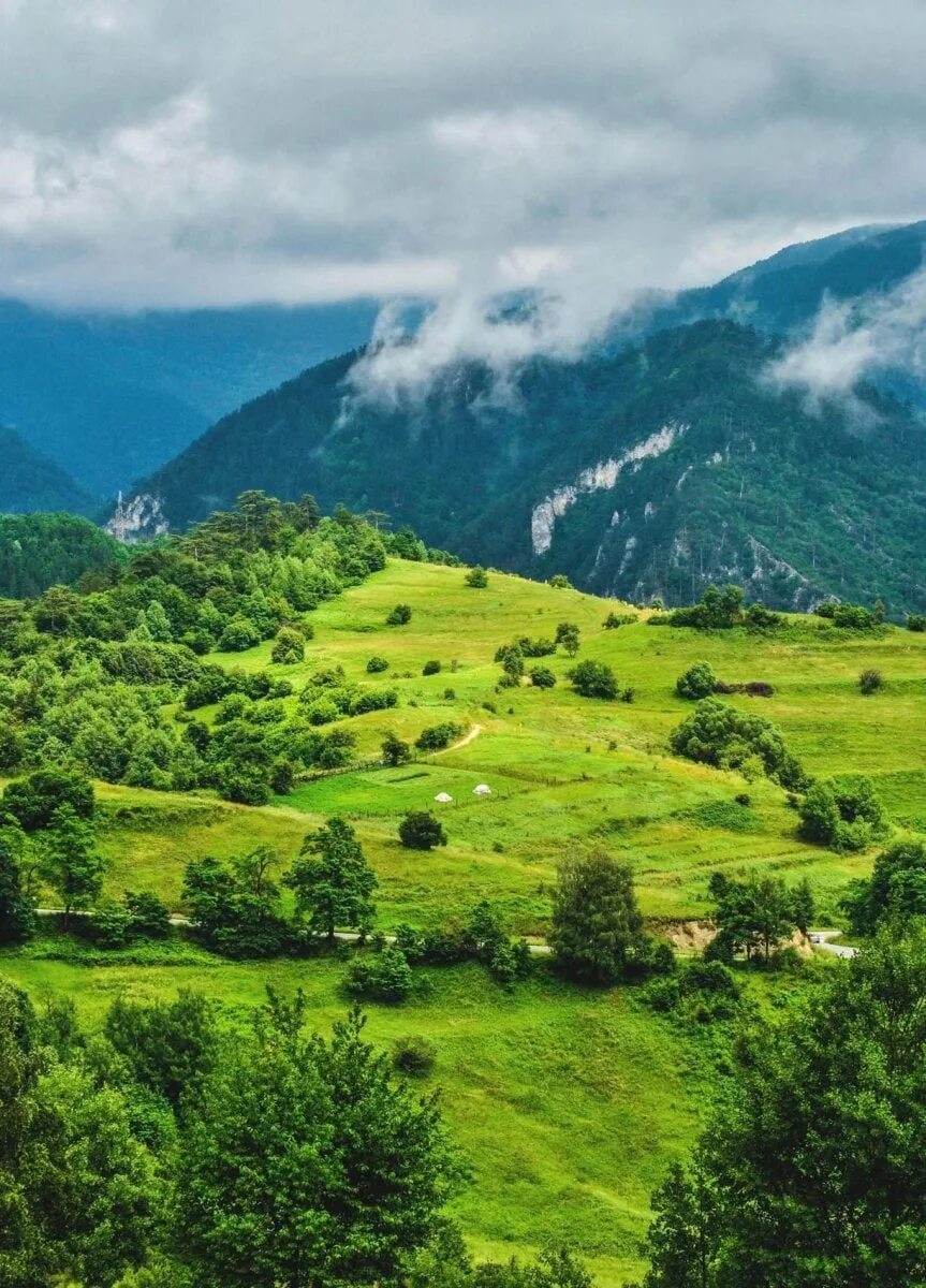 Родопы. Родопи Болгария. Родопи горы. Родопы (горы). Родопские горы в Болгарии.