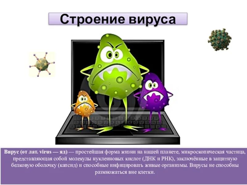 Царство вирусы. Вирусы вне клетки. Класс вирусов. Вирусы отдельное царство.