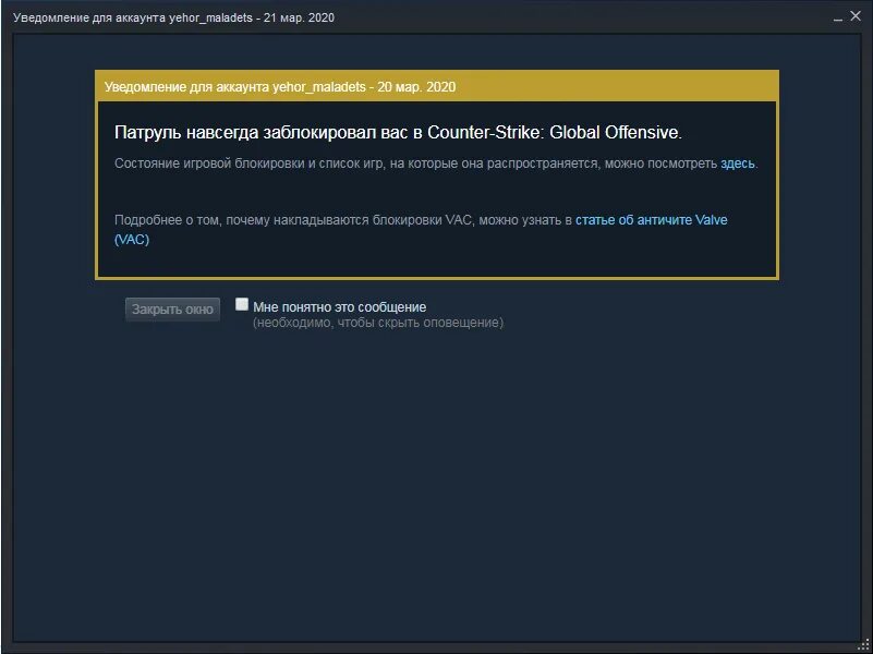 На удержании в стим что значит. ВАК стим. ТРЕЙД бан в стиме что это. Игровая блокировка стим. Стим блокировка трейда.