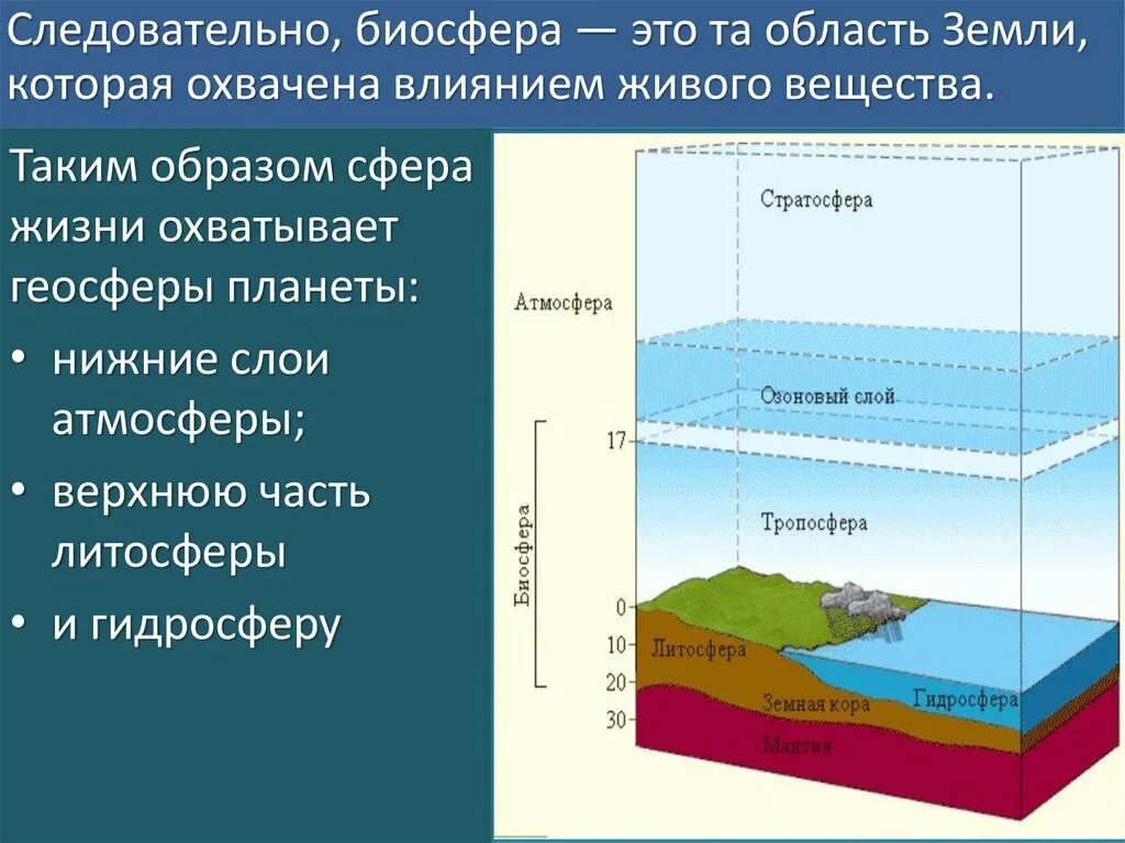 Примеры как биосфера взаимодействует с атмосферой. Радиоактивность гидросферы. Атмосфера литосфера гидросфера Биосфера Тропосфера стратосфера. Слои гидросферы. Живое вещество атмосферы биосферы гидросферы.