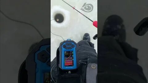 Эхолот практик 8 видео
