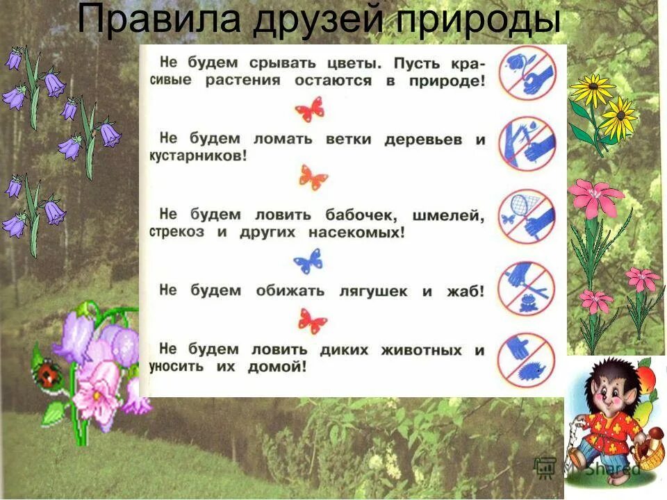 2 3 правила природы. Знаки правил друзей природы. загадки по природе. экологические правила друзей природы. памятка друзей природы.