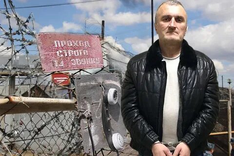 Авторитеты читы