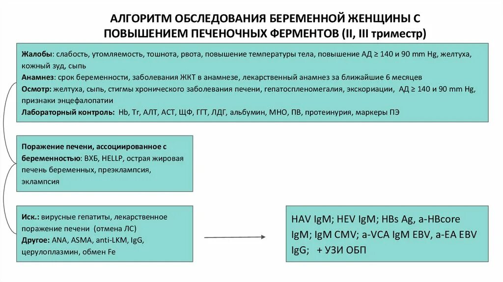 Повышение ферментов печени. Осмотр беременной алгоритм. Повышение печеночных ферментов у беременных. Высокие печеночные ферменты при беременности.