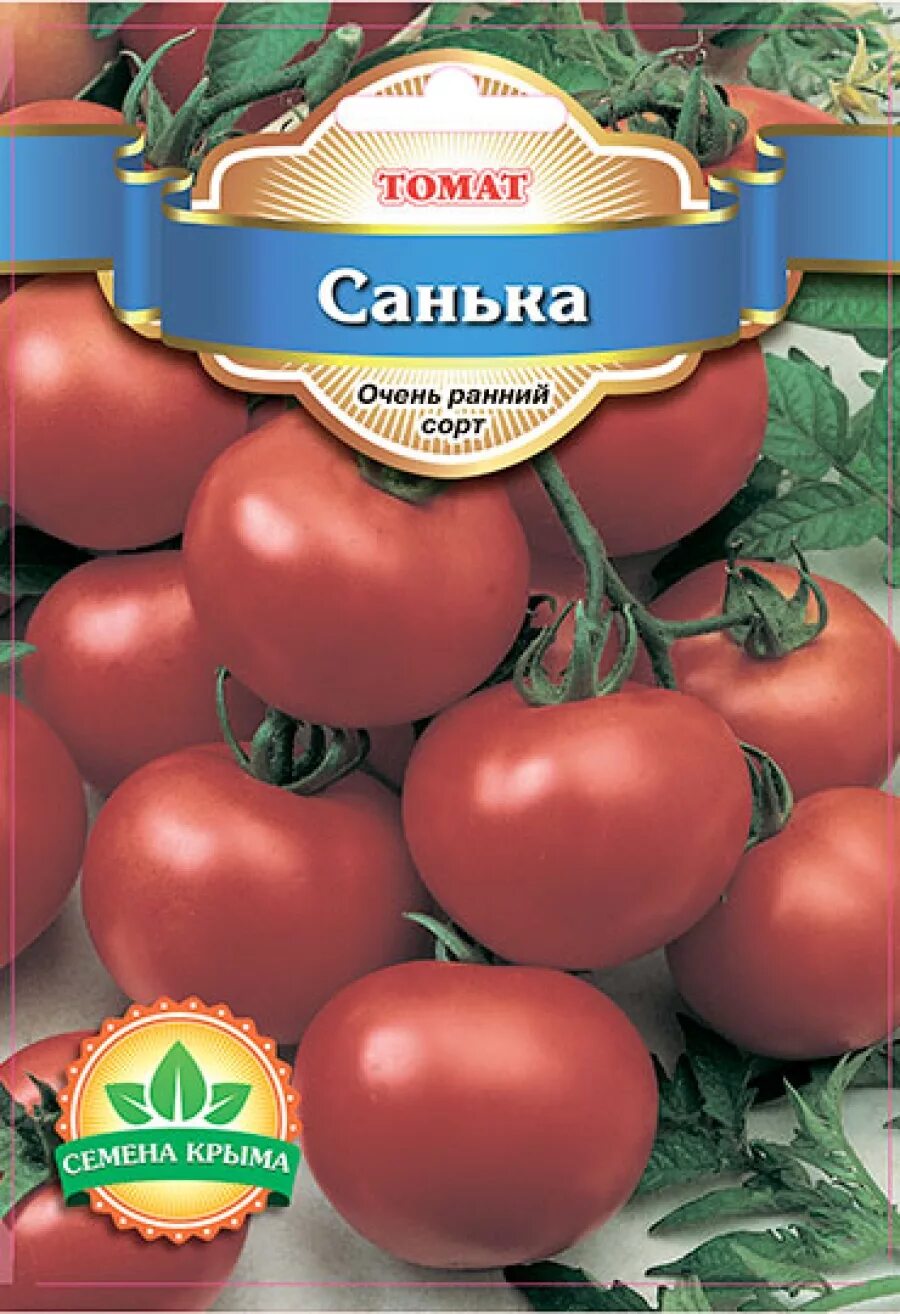 Урожайность помидор санька. Семена томат Санька. Семена помидор Санька. Томат Санька низкорослый.