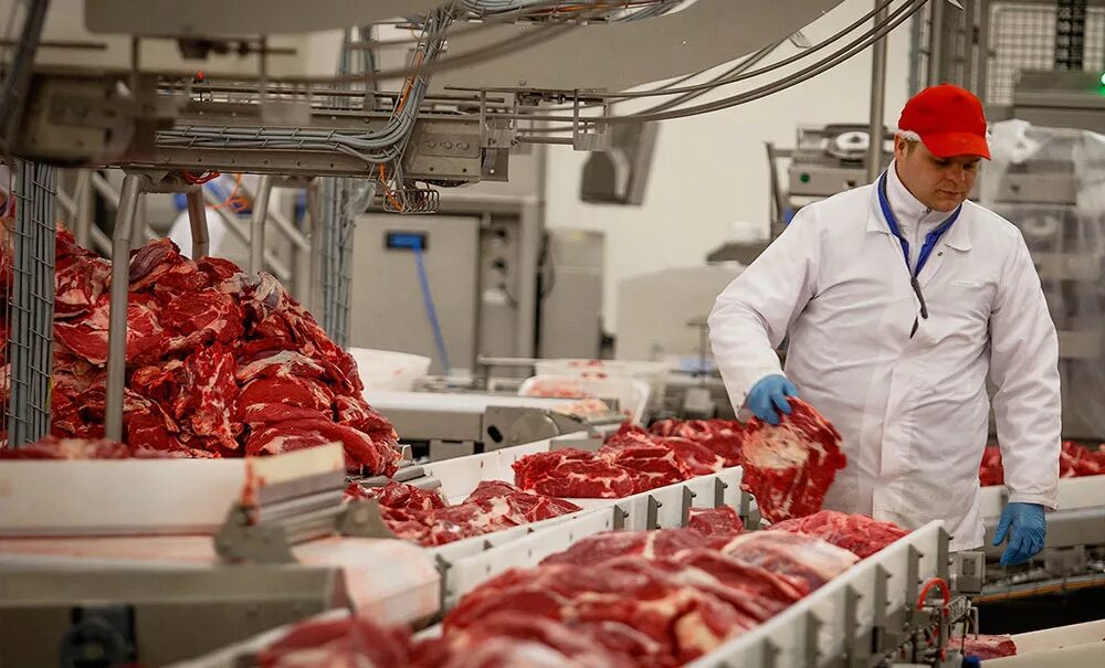 Мясожировой цех атяшево. Упаковщик мясной продукции. Петров курганский мясокомбинат. Продукция зеленецкой птицефабрики в санкт-петербурге. Тосненский мясокомбинат магазин в тельмана.