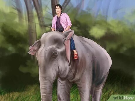 Elephant in the room идиома. Газ слон. Газ слон. Правило the the elephant. Ride on an elephant картинка.